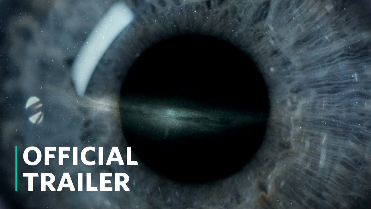Wideo do filmu Po Śmierci — Official Trailer 2