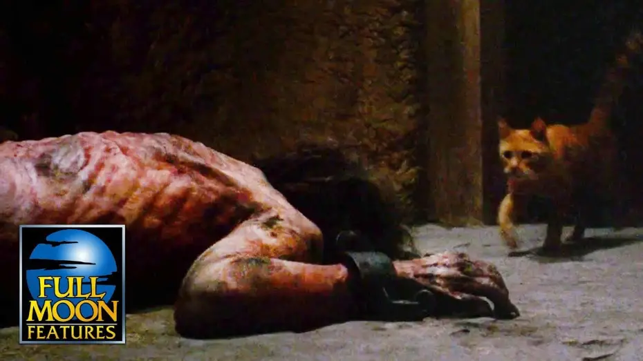 Wideo do filmu Potwór na zamku — Lost Cat Leads Girl Straight To The Disfigured Prisoner