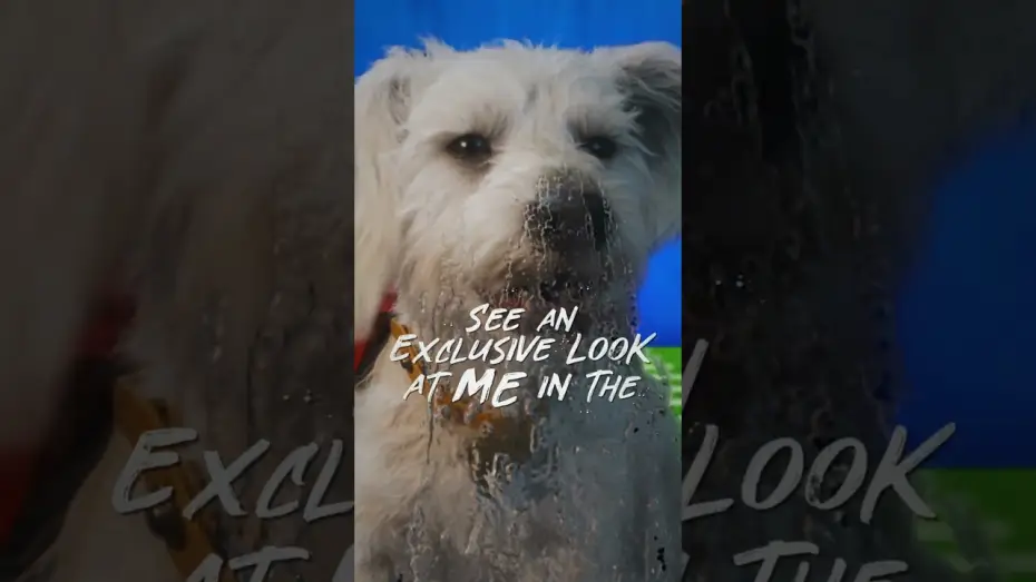 Wideo do filmu Supergirl — Tomorrow is the big day 🐾 Catch Krypto in Puppy Bowl
