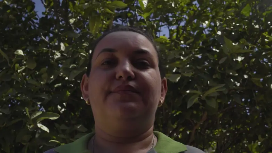 Wideo do filmu O Ponto do Mel — TRAILER - O PONTO DO MEL