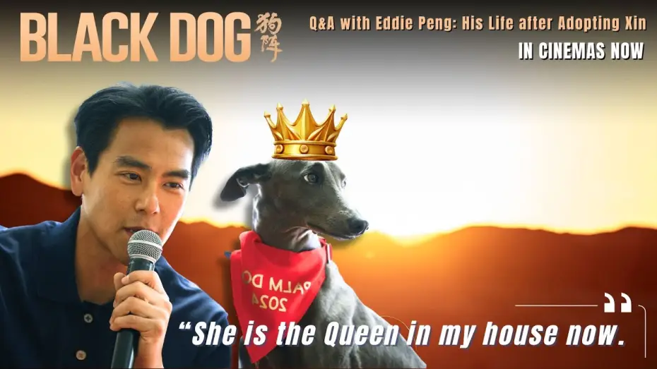 Wideo do filmu Czarny pies — Q&A with Eddie Peng: "Xin is the Queen in my house now."