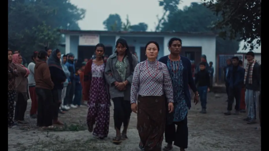 Wideo do filmu Elephants in the Fog — Official Trailer