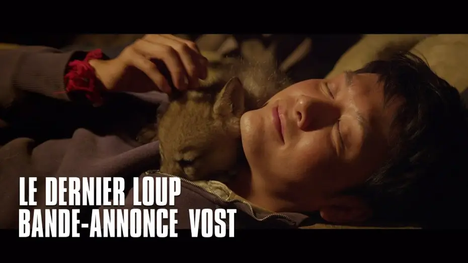 Wideo do filmu Wilczy Totem — Le dernier loup - bande-annonce VOST