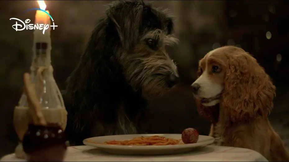 Wideo do filmu Zakochany kundel — Lilli e Il Vagabondo - Trailer Ufficiale | In Streaming su Disney+