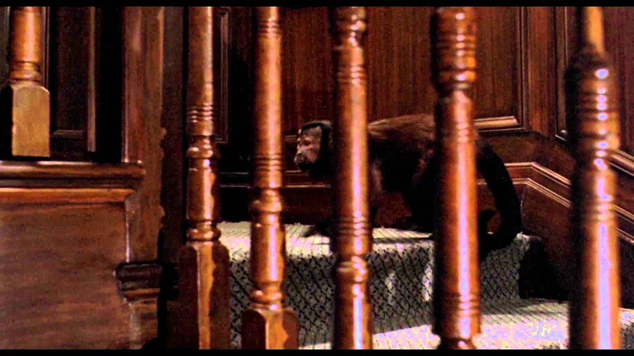 Wideo do filmu Małpia intryga — Ella Gets Revenge (1/1) Monkey Shines (1988) HD