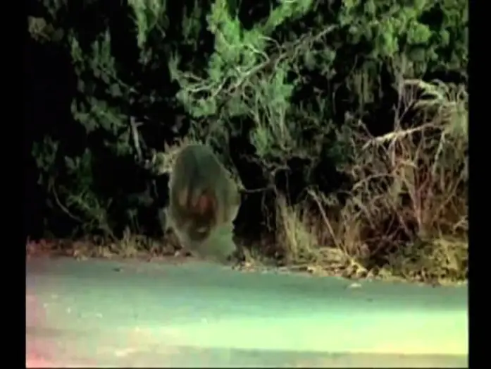Wideo do filmu Seedpeople — Seedpeople 1992 Trailer