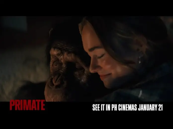 Wideo do filmu Szympans — They thought he was family… they were wrong.