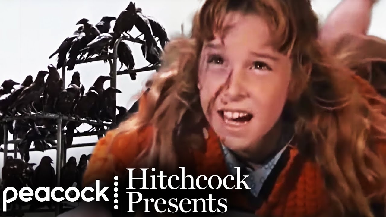 Wideo do filmu Ptaki — The Crows Attack the School - Scene | The Birds (1963) | Hitchcock Presents