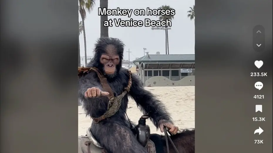 Wideo do filmu Królestwo Planety Małp — Apes Together Strong Global Phenomenon