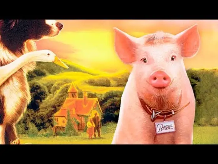 Wideo do filmu Babe - świnka z klasą — BABE, El Cerdito Valiente (Trailer español)