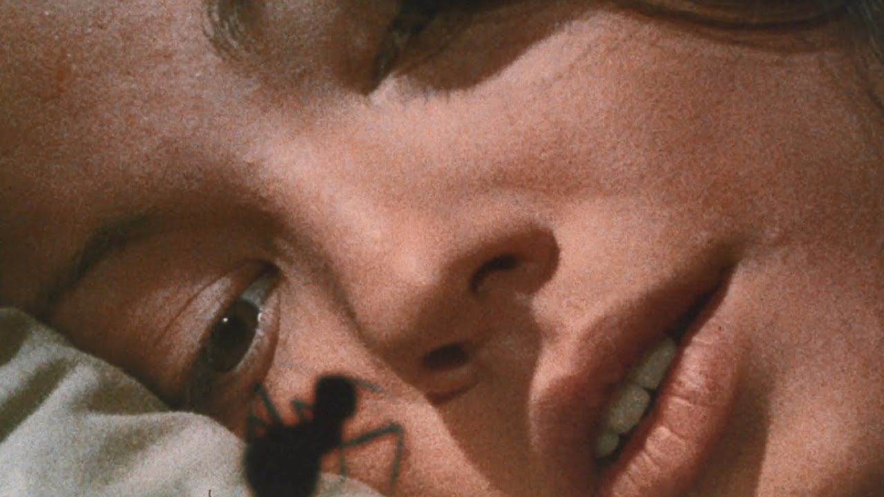 Wideo do filmu Phase IV — Phase IV (1974) ORIGINAL TRAILER [HQ]