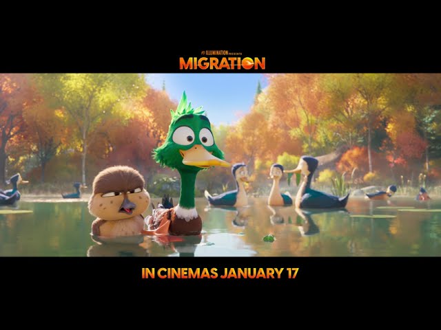 Wideo do filmu Wyfrunięci — (Mis)adventure awaits.