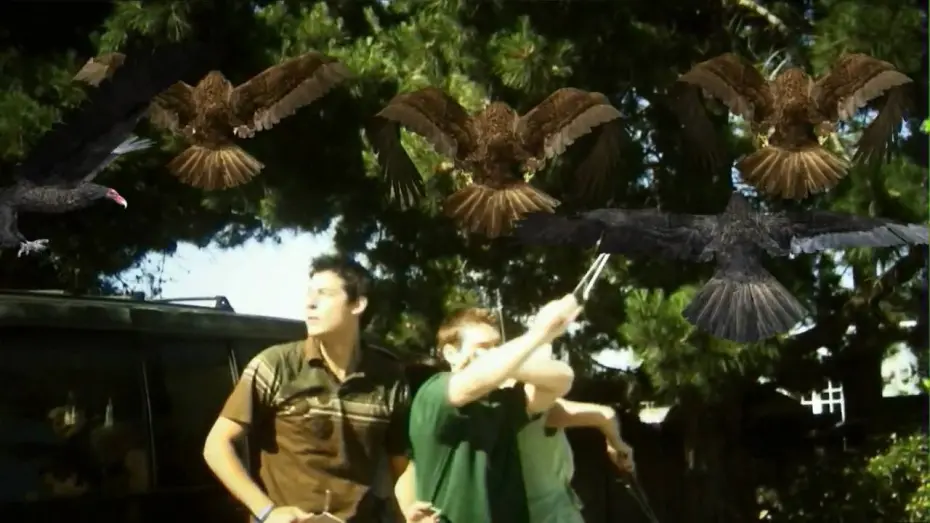 Wideo do filmu Ptakodemia — The Official BIRDEMIC: SHOCK AND TERROR Theatrical Trailer