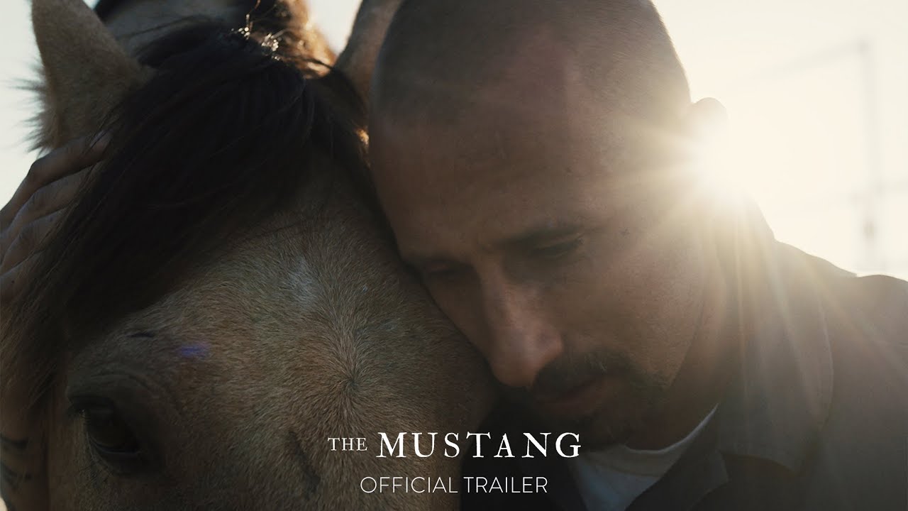 Wideo do filmu Mustang — Official Trailer