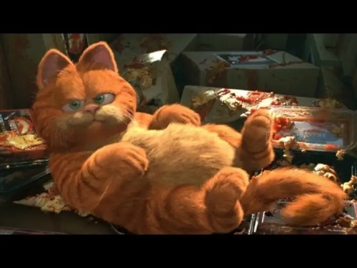 Wideo do filmu Garfield — GARFIELD: la película (Trailer español)