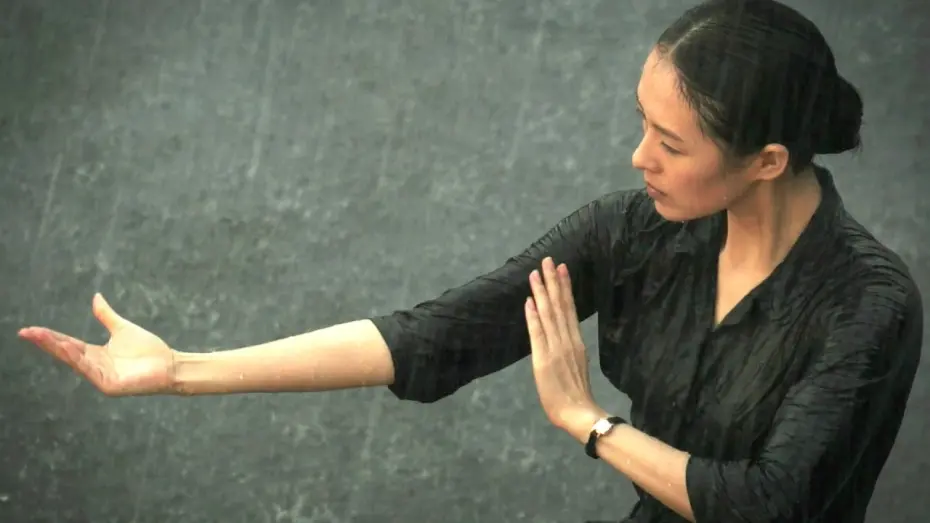 Wideo do filmu Wielki mistrz — THE GRANDMASTER | Zhang Ziyi