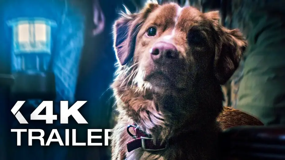 Wideo do filmu Good boy — GOOD BOY: Trust his instincts Trailer German Deutsch (2025)