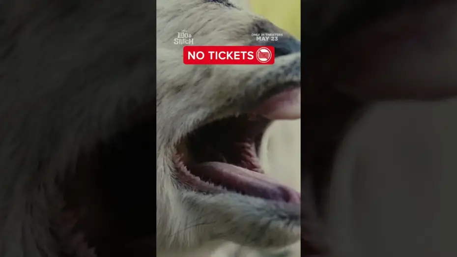 Wideo do filmu Lilo i Stich — mood.