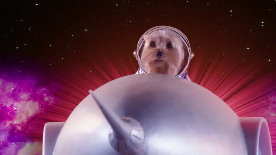 Wideo do filmu Pup Star: Razem raźniej — Music Video - Is This For Real