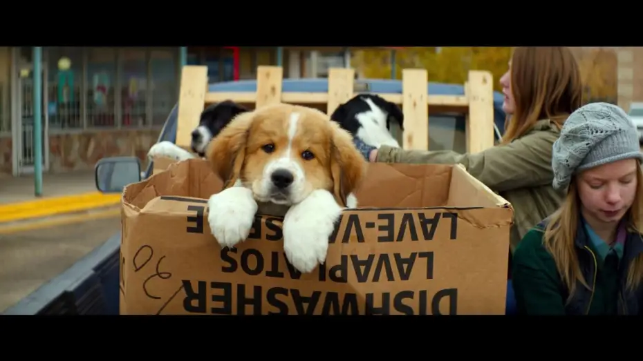 Wideo do filmu Był Sobie Pies — BAILEY – EIN FREUND FÜRS LEBEN - offizieller Teaser