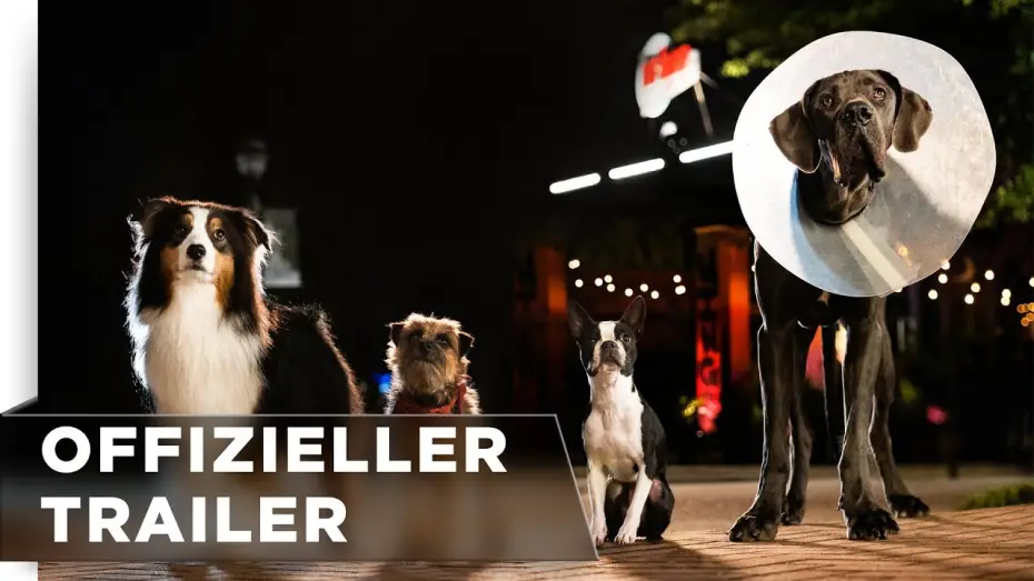 Wideo do filmu Spuszczone ze smyczy — Offizieller Trailer #2