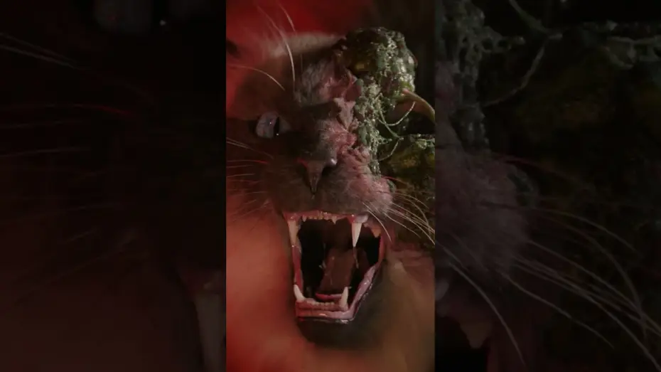 Wideo do filmu Skażenie — 🙀🙀🙀 Cold Storage is in US and UK theaters NOW