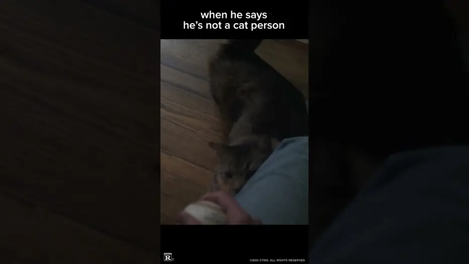 Wideo do filmu Złodziej z przypadku — Cat Daddy