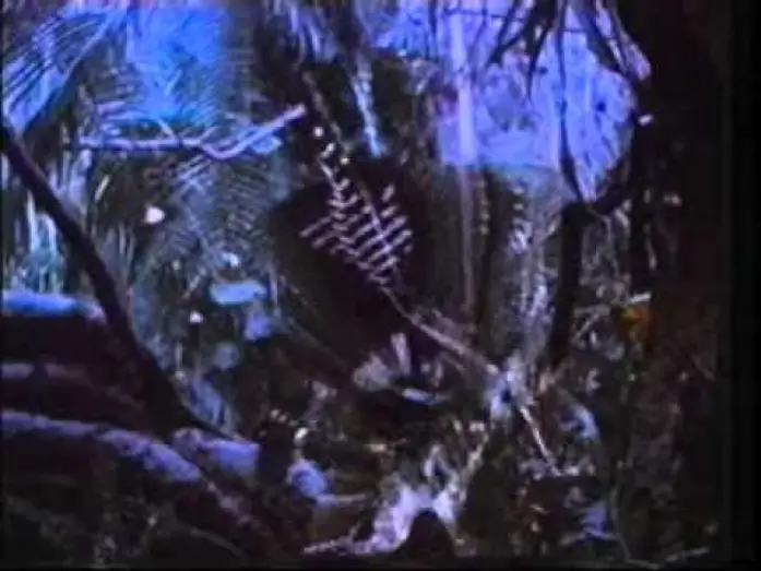 Wideo do filmu Predator — PREDATOR (1987) Con Arnold Schwarzenegger - Trailer Cinematografico