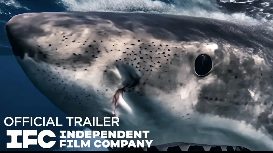 Wideo do filmu Chum — Official Trailer