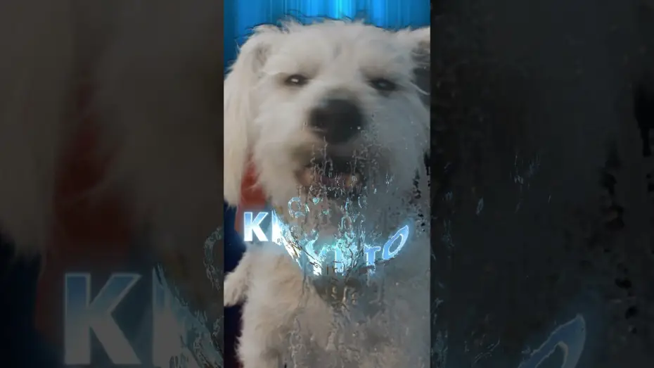 Wideo do filmu Superman — Krypto is one of a kind.