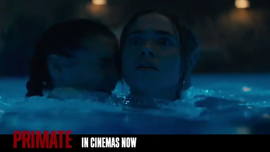 Wideo do filmu Szympans — Lucy, RUN.
