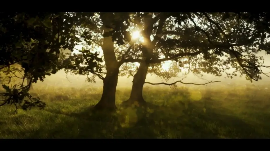 Wideo do filmu The Undertone — Relaxing Guided Meditation