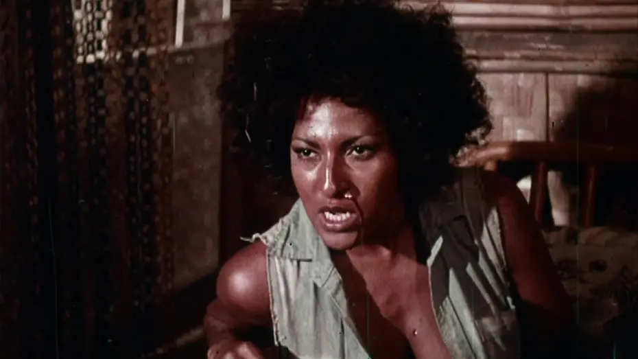 Wideo do filmu The Big Bird Cage — The Big Bird Cage (1972, trailer) [Pam Grier, Carol Speed, Anitra Ford, Candice Roman]