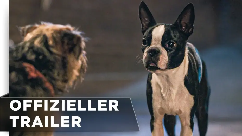 Wideo do filmu Spuszczone ze smyczy — Offizieller Green Band Trailer