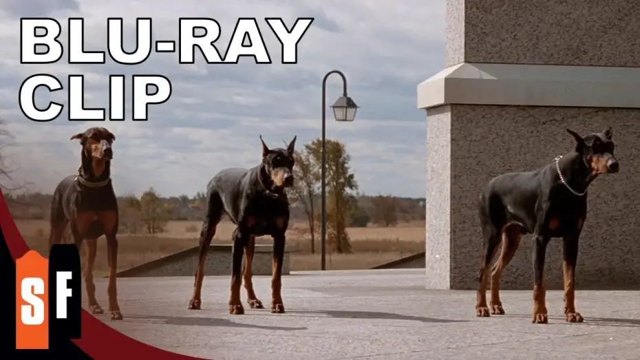 Wideo do filmu W paszczy szaleństwa — Release The Hounds