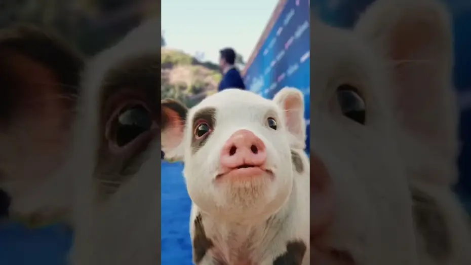 Wideo do filmu Moana — make sure you get his good side