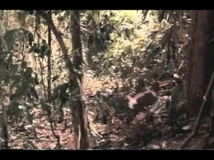 Wideo do filmu DNA — Dna Trailer 1997