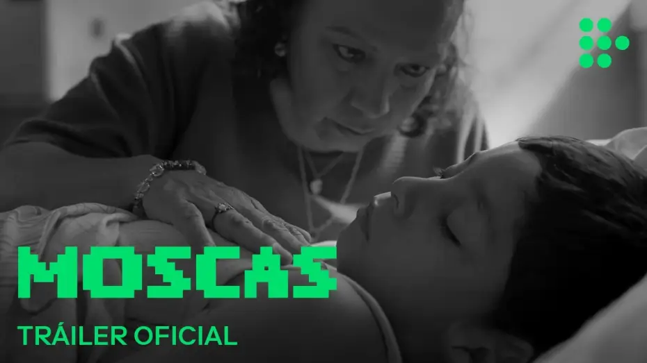 Wideo do filmu Moscas — MOSCAS | Tráiler Oficial | En cines julio 2