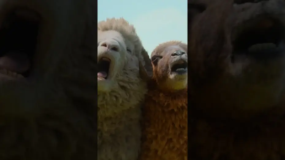 Wideo do filmu Sprawiedliwość owiec — Visit Denbrook