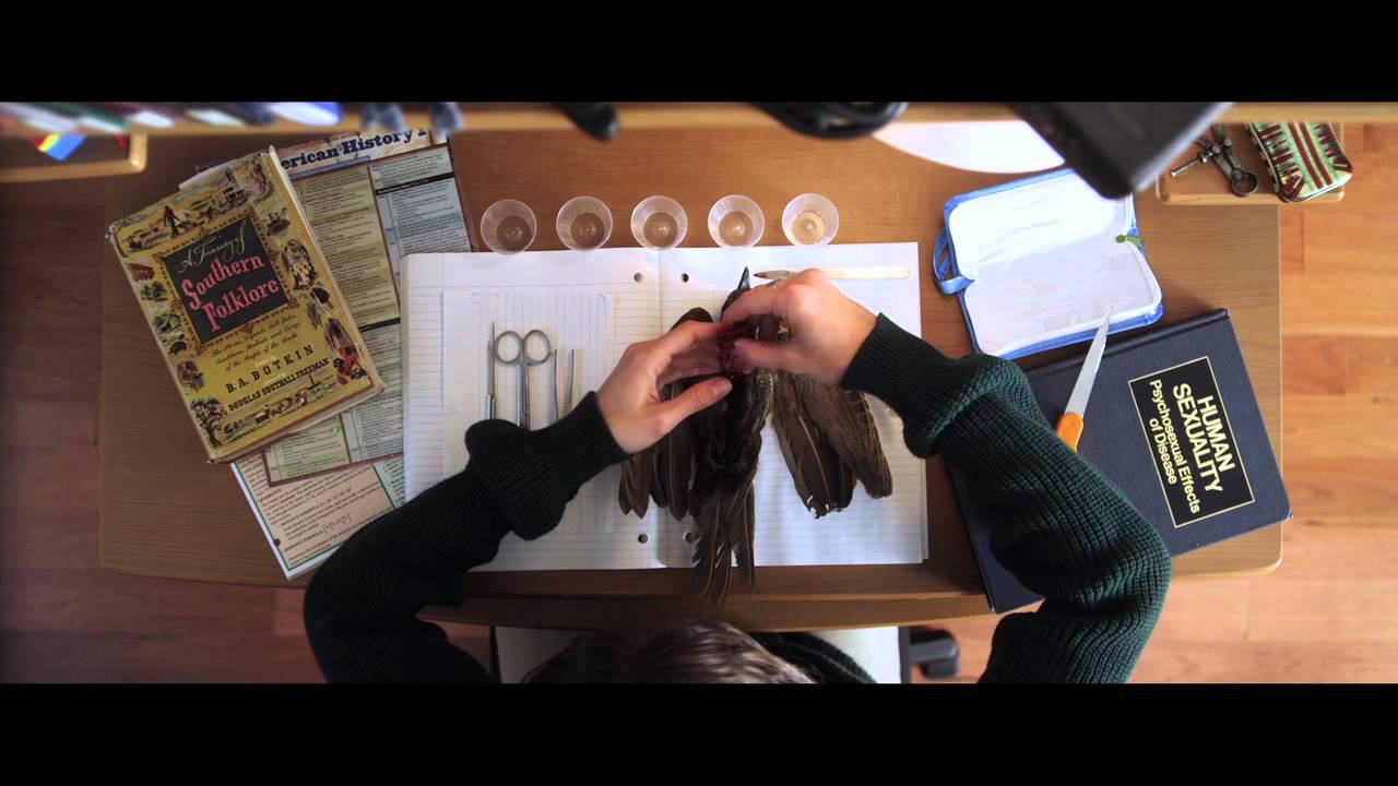 Wideo do filmu Chirurgiczna Precyzja — EXCISION Clip -- "Bird Surgery"