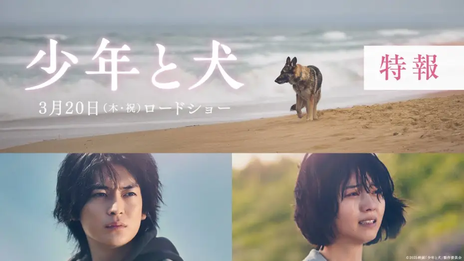 Wideo do filmu 少年と犬 — 映画『少年と犬』特報映像【2025年3月20日(木・祝)公開】