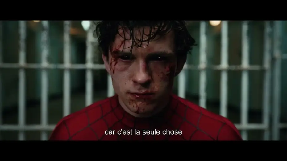Wideo do filmu Spider Man. Całkiem Nowy Dzień — Spider-Man : Brand New Day - Vignette Hidden Heroes