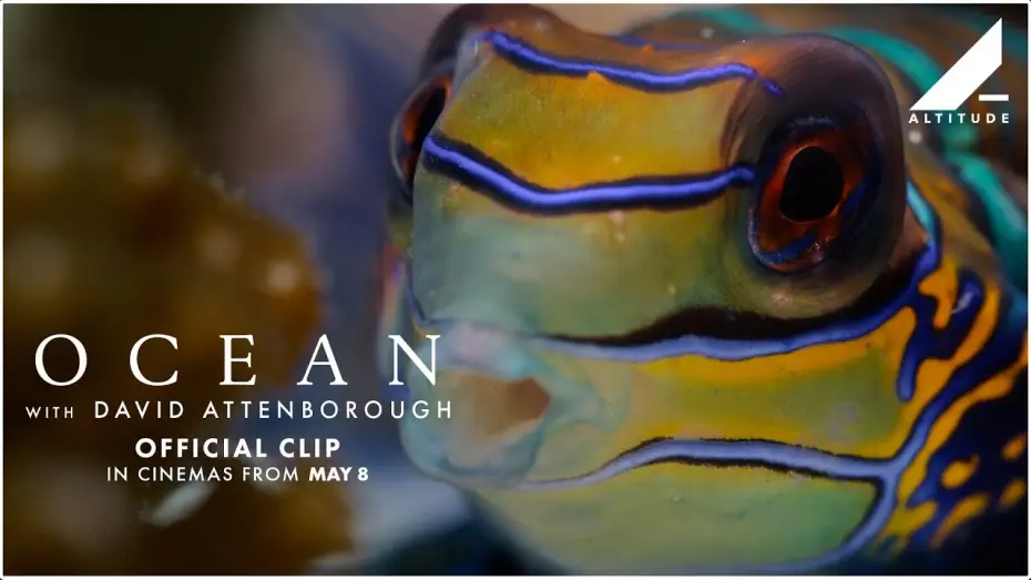 Wideo do filmu David Attenborough Świat oceanów — 'Variety Of Ocean Life' Clip