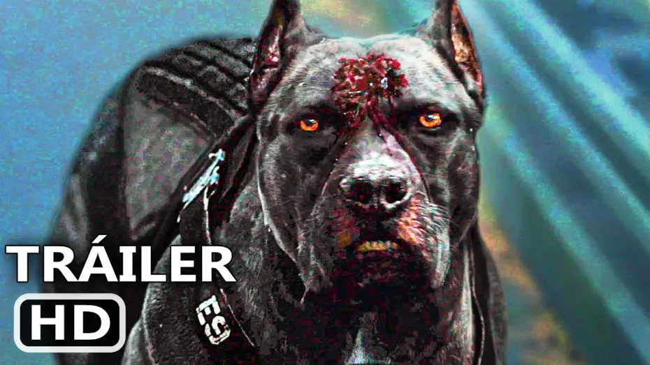Wideo do filmu Operacja Cisza — PROJECT SILENCE Tráiler Español Subtitulado (2024) Terror