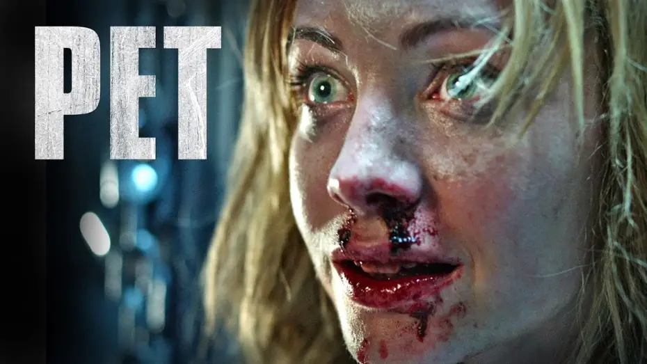 Wideo do filmu Schronisko — Offizieller Trailer