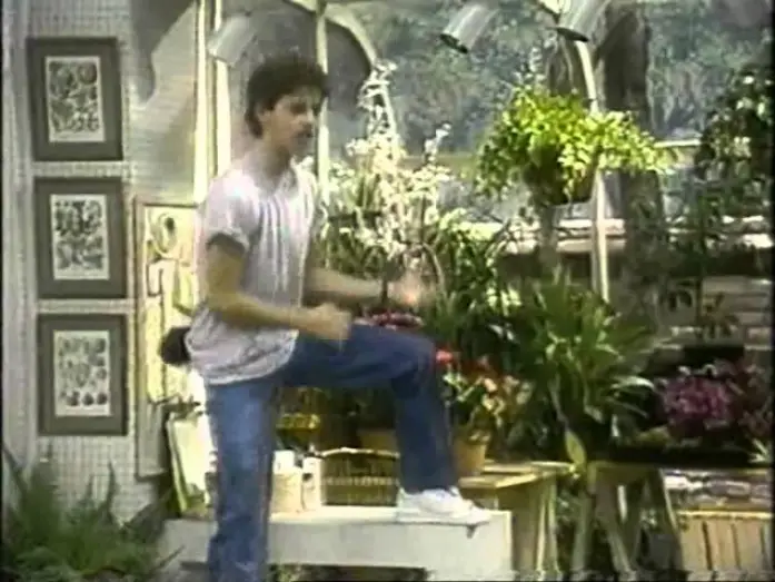 Видео к сериалу Growing Pains — Unser lautes Heim - Trailer Pro 7 (1993)