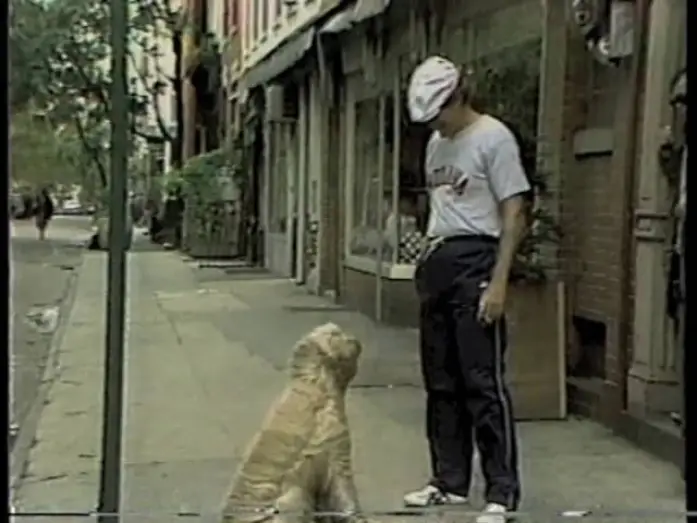 Видео к сериалу Amazing Stories — Amazing Stories on Letterman, September 30, 1985