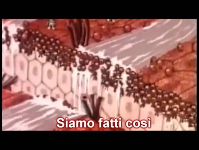 Видео к сериалу Było sobie życie — siamo fatti così - esplorando il corpo umano - sigla