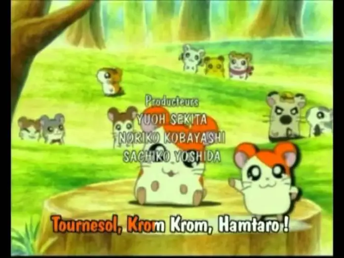Wideo do serialu とっとこハム太郎 — Hamtaro Génériques début et fin français