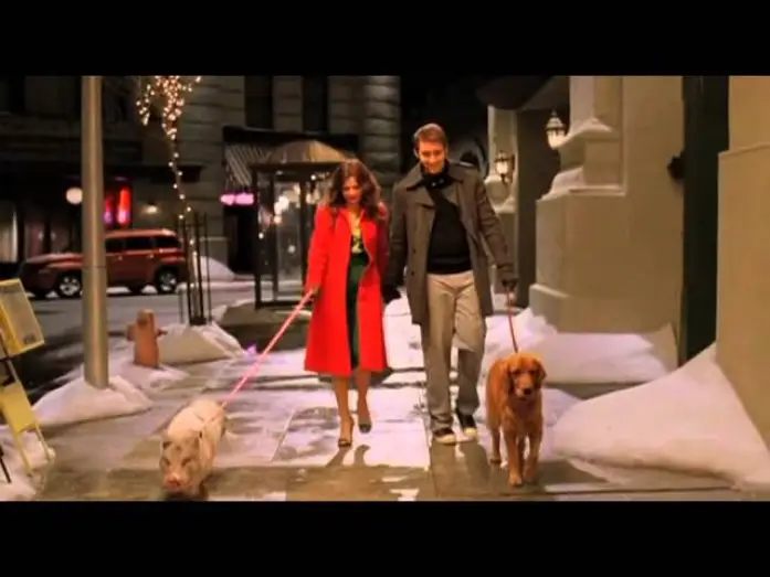 Wideo do serialu Pushing Daisies — Pushing Daisies | Ne Me Quitte Pas